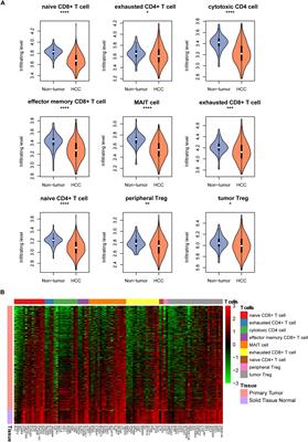 Functional and Clinical Characterization of Tumor-Infiltrating T Cell Subpopulations in Hepatocellular Carcinoma